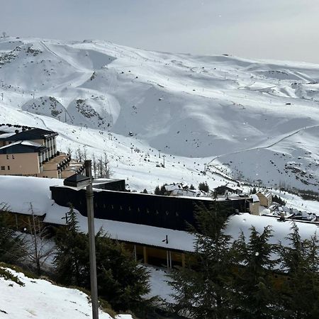 Biznaga Nevada Lägenhet Granada Exteriör bild