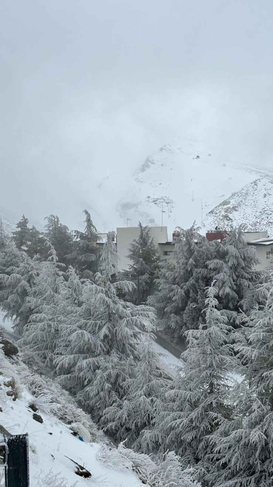 Biznaga Nevada Lägenhet Granada Exteriör bild
