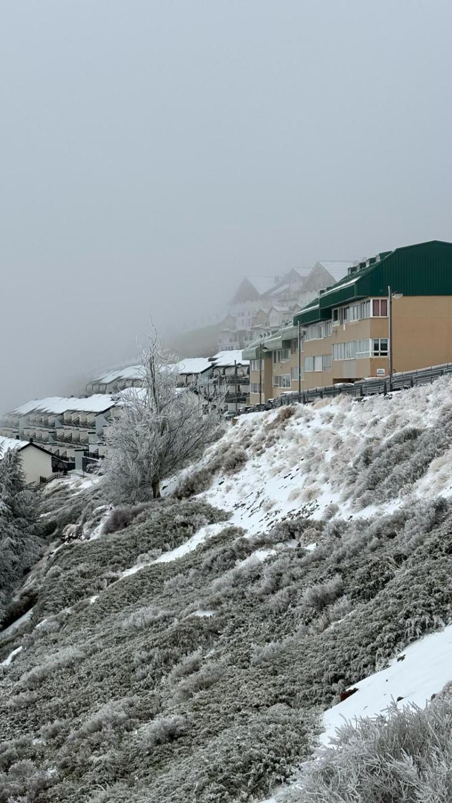Biznaga Nevada Lägenhet Granada Exteriör bild