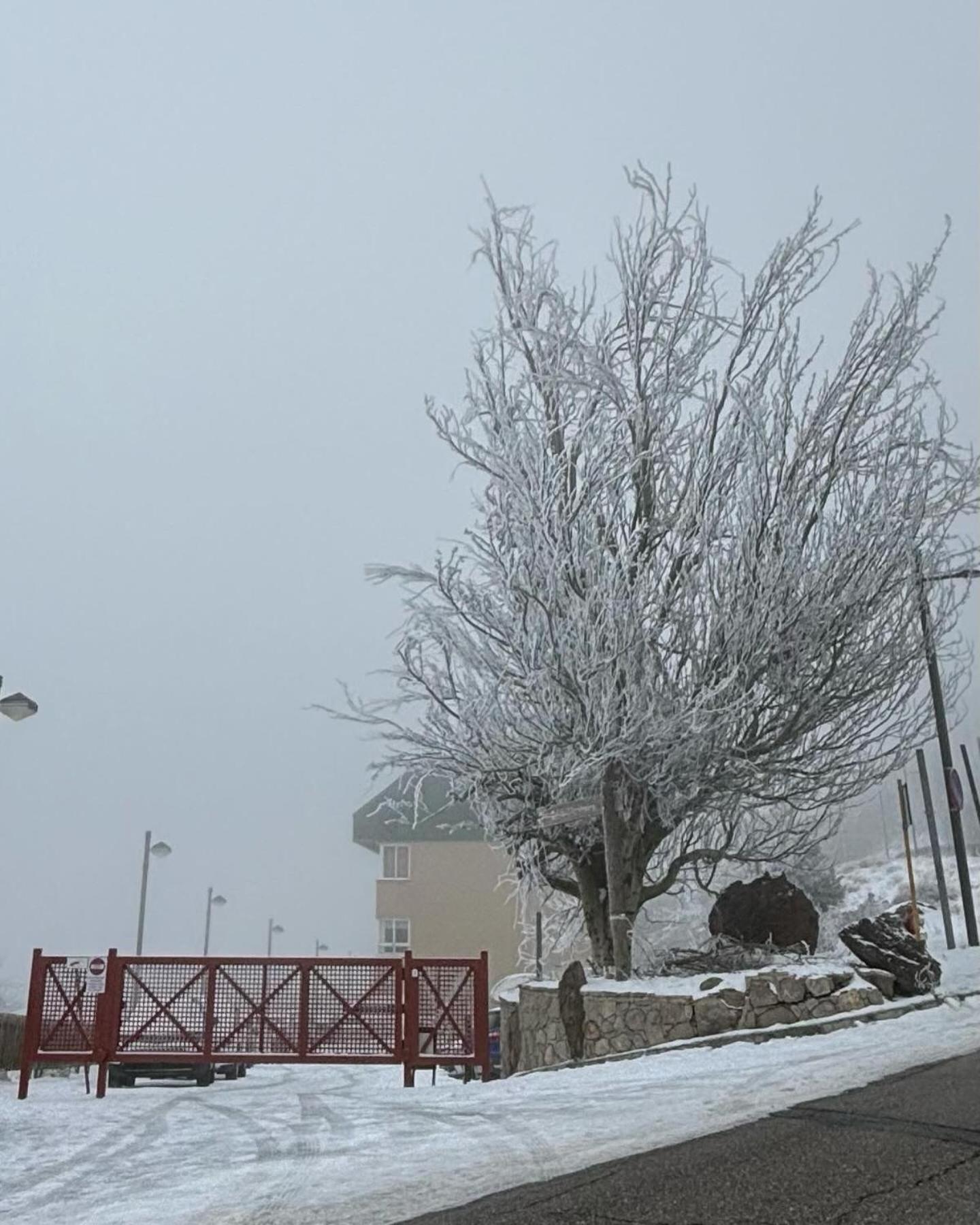Biznaga Nevada Lägenhet Granada Exteriör bild