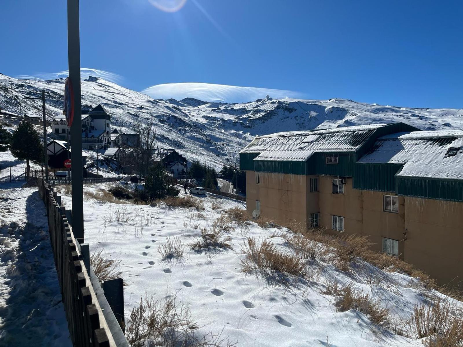 Biznaga Nevada Lägenhet Granada Exteriör bild