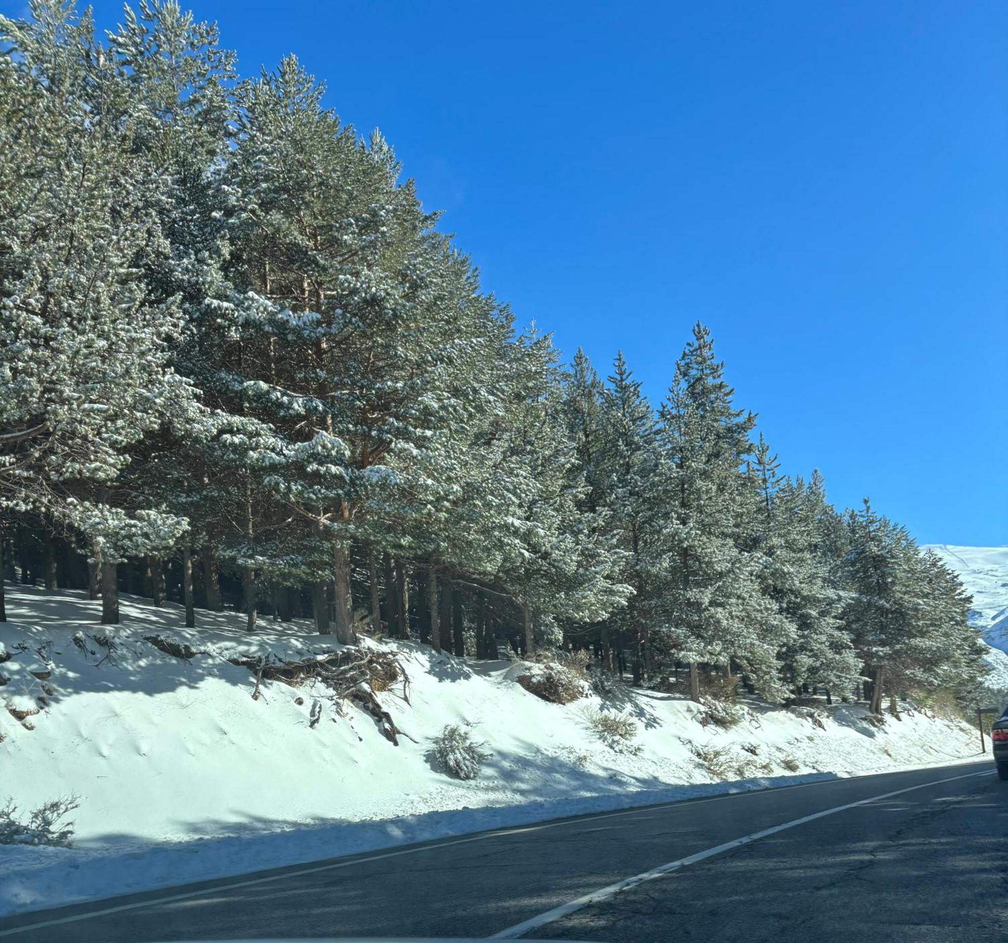 Biznaga Nevada Lägenhet Granada Exteriör bild